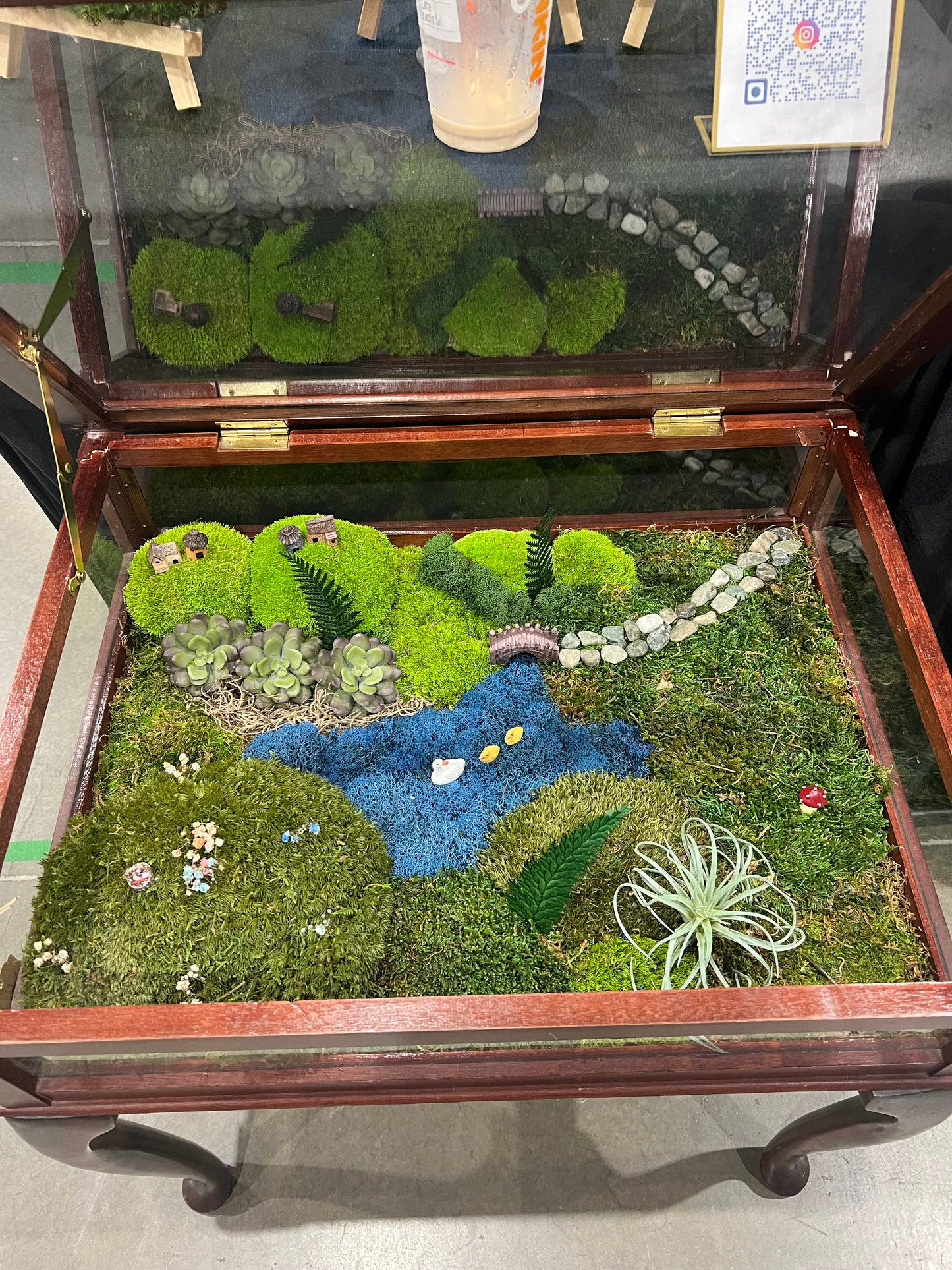 Peaceful Pond