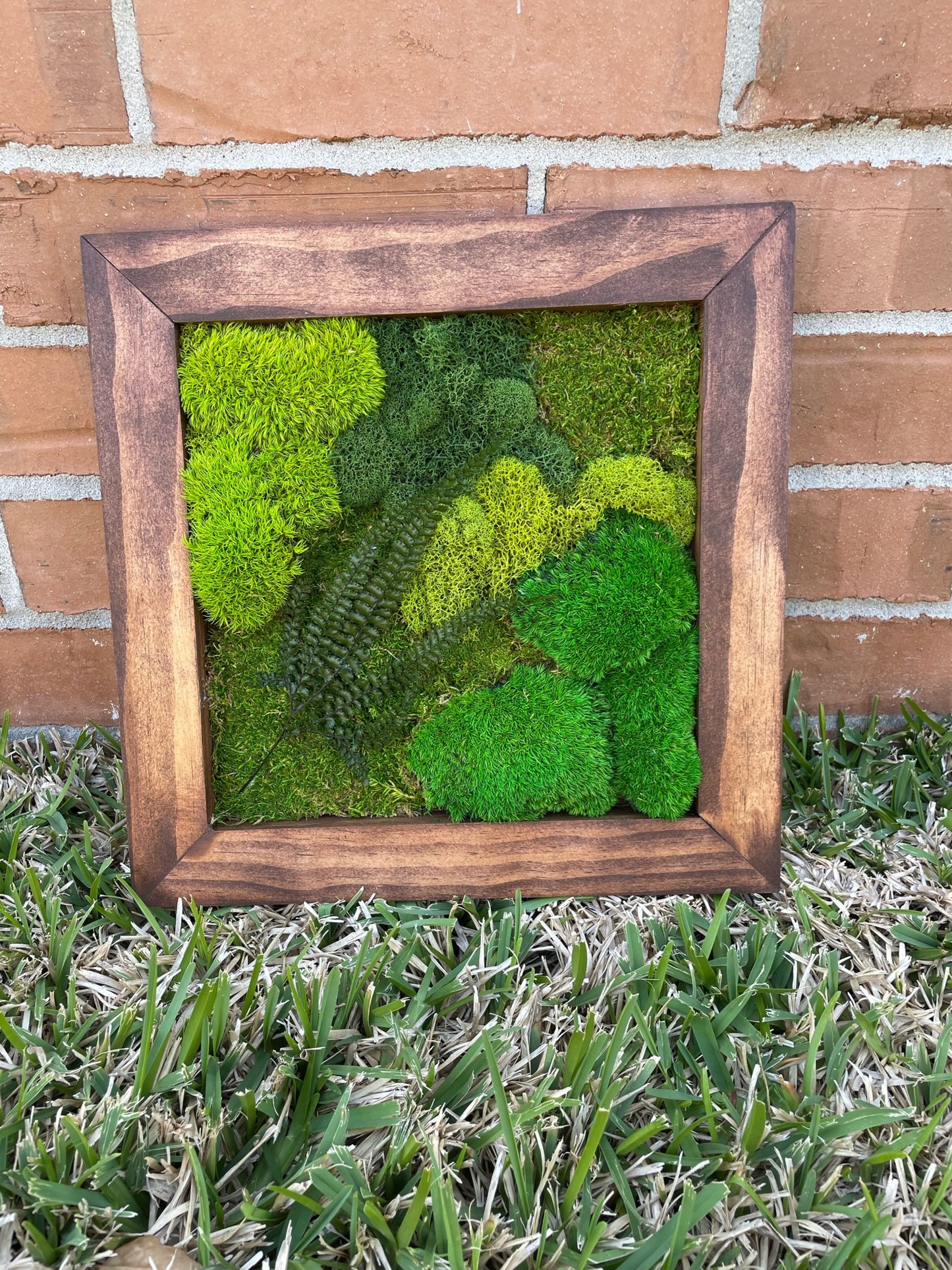 Mossy pine