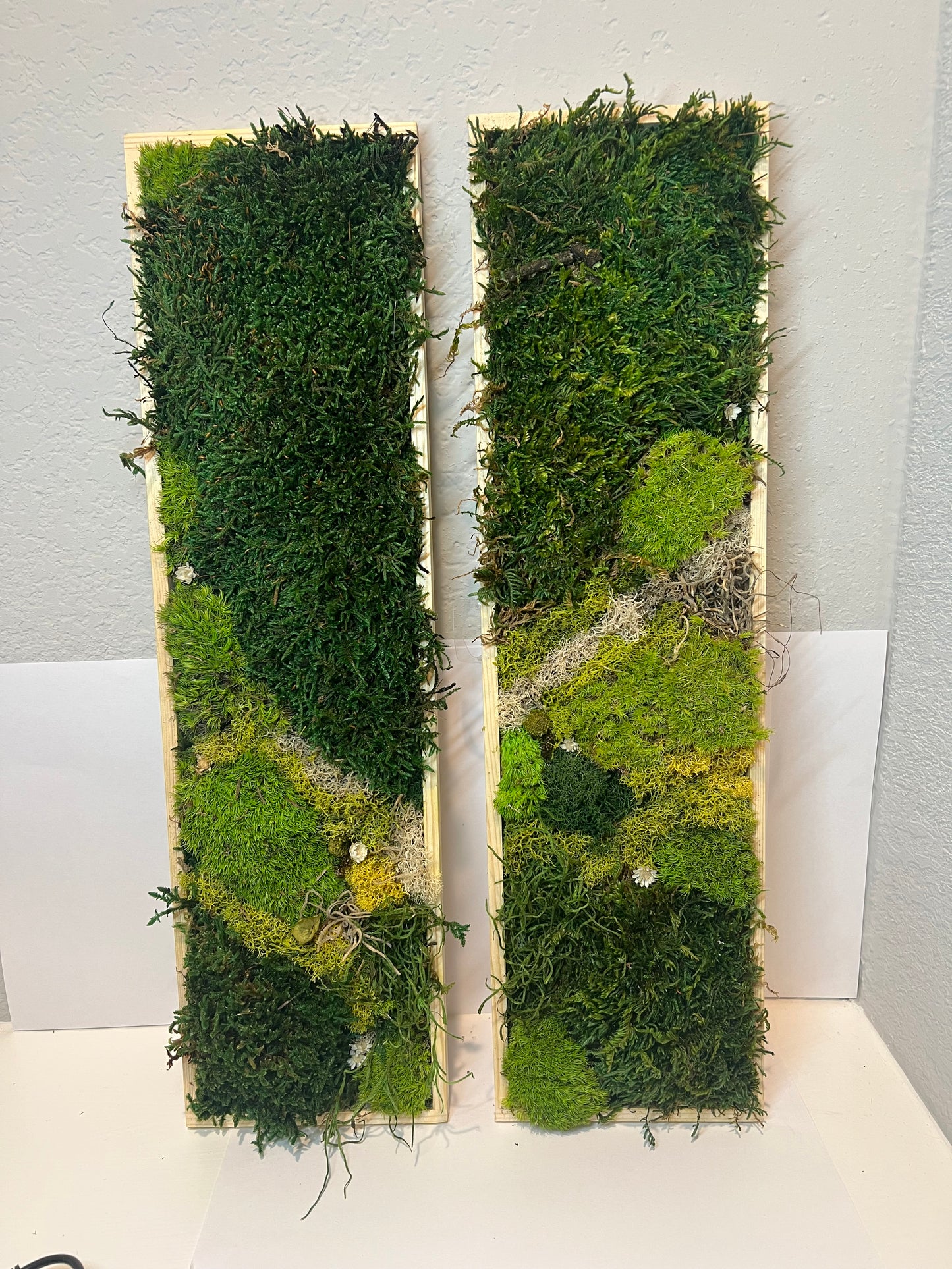 Moss panels