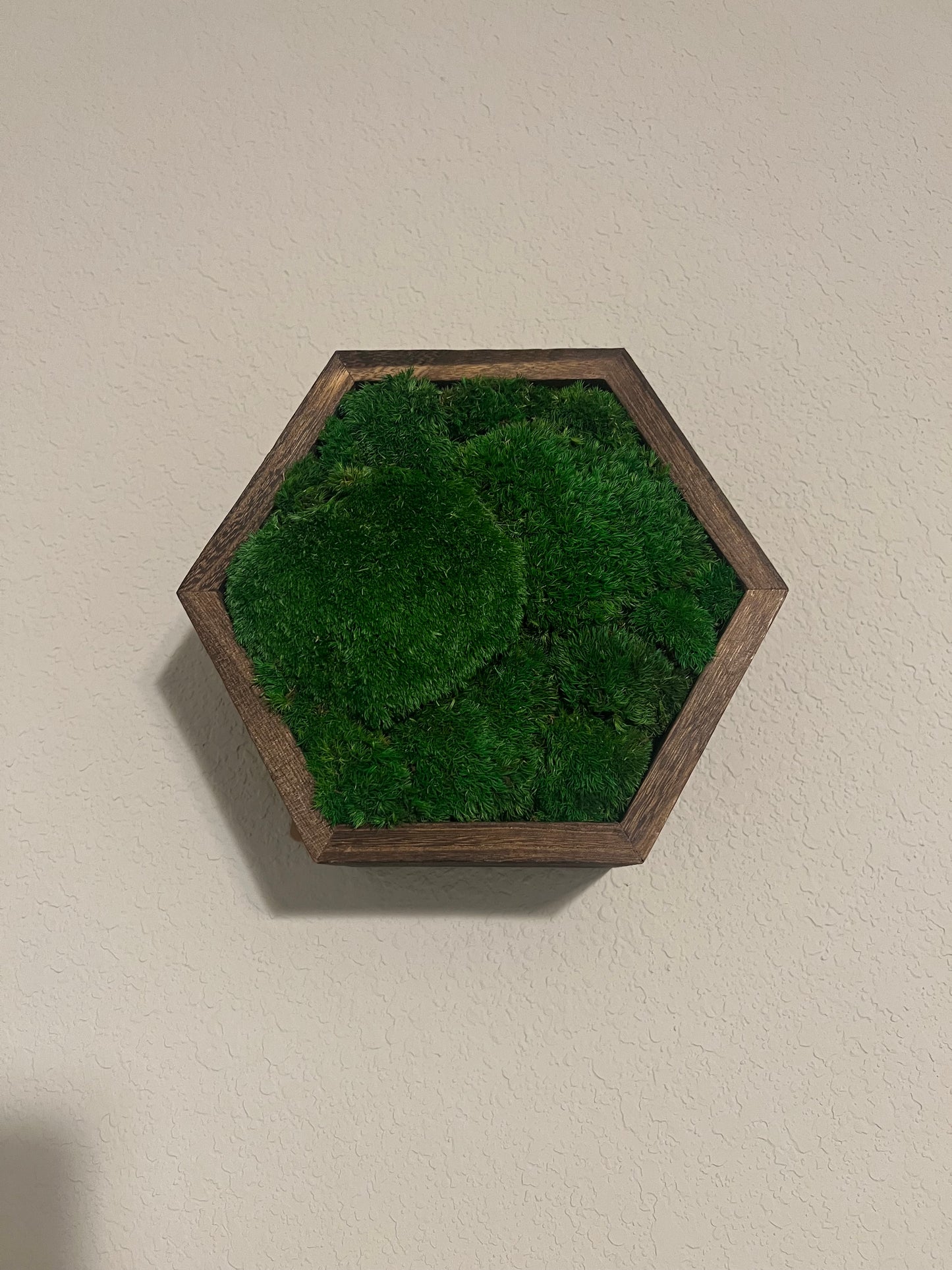Moss hexagon