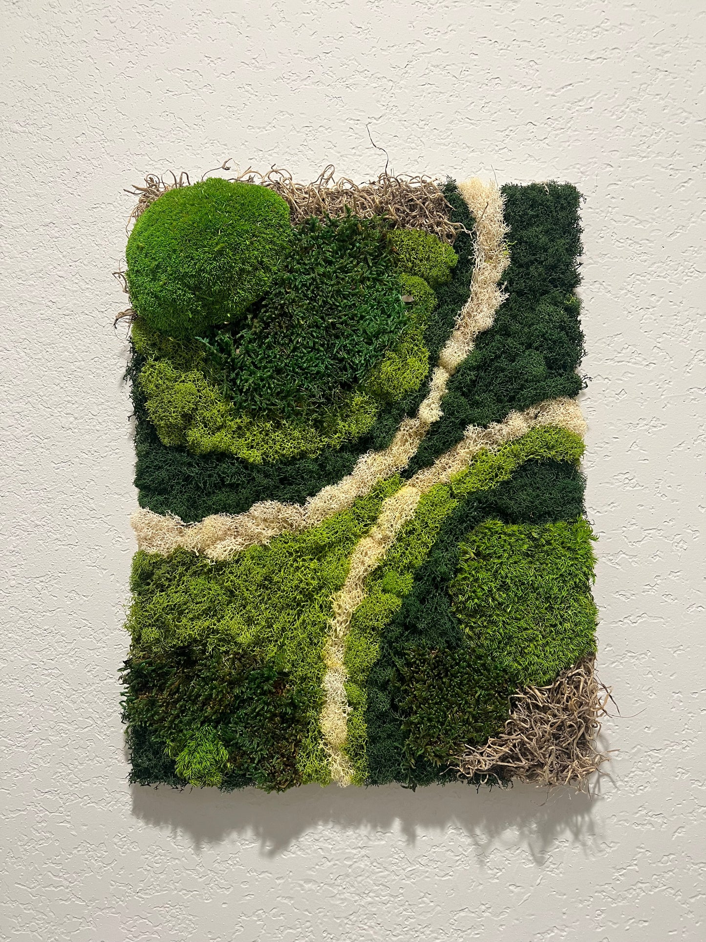 Mossy fields