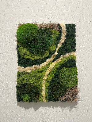 Mossy fields